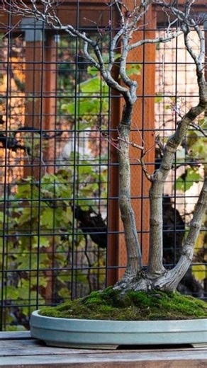 9K views · 1.5K reactions | Even strength distribution. A...