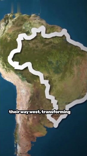 Columbian Exchange Impact Explained #HistoryExplained #WorldHistory #EducationalVideo #HistoryShorts