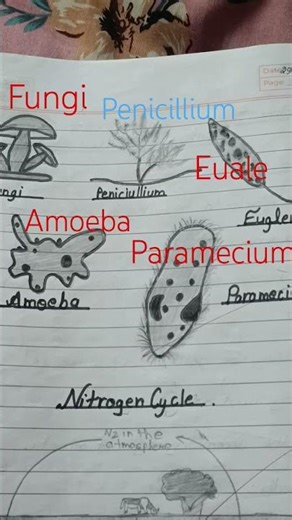 Micro organism🙂🙂 #Study with Preeti #viral