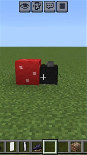 HOW TO MAKE A LADY BUG