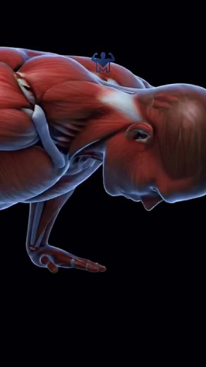 50 Pushups and 5 Minutes of Plank Daily Benefits