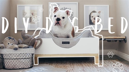 DIY Modern Dog Bed | Easy Build for Beginners!