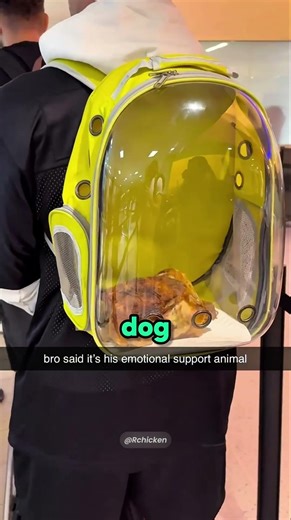 This is why flights are never boring 😂