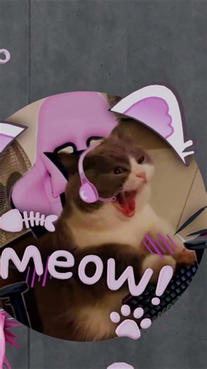 recreating my discord pfp on chatdoll #dresstoimpress #shorts #roblox