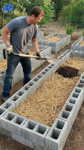 Bí quyết xây luống trồng rau cho vườn siêu trái