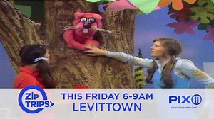 6.5K views · 426 reactions | PIX11's turning 70 and we're throwing a big birthday bash in Levittown! We're celebrating all morning-long at Veterans Memorial Park and hope to see you there. | PIX11 | Facebook