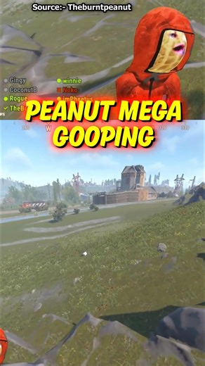 Peanut Mega Gooping in Rust😲#shorts #theburntpeanut