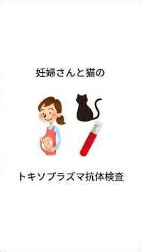 猫のトキソプラズマ抗体検査をご存知ですか？ 獣医師の手帳より VOICEVOX:WhiteCUL
