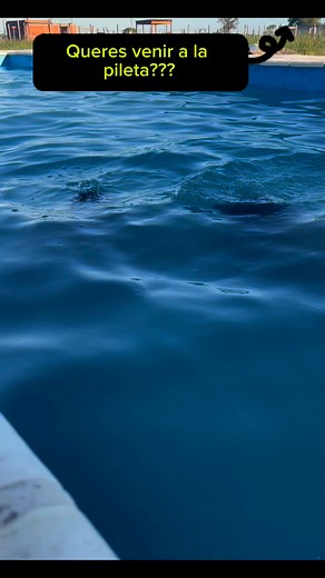 Mucho calor hace #Calor #calorcito #verano2025 | Daniel Miño