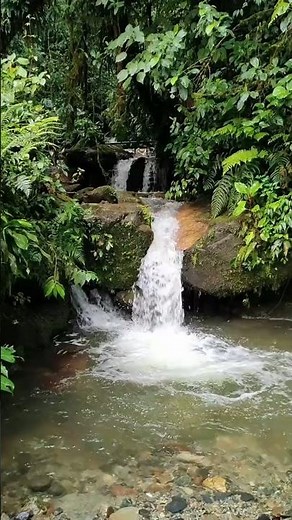 Beautiful waterfall in the heart of nature 🌿🌊 Peaceful jungle scenery