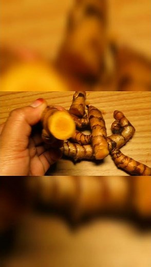 How to make homemade Turmeric Powder 🔥 | Youtube Shorts | Homemade Turmeric Powder | Pasupu Tayari