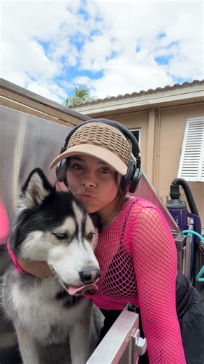 Part 2: Kiss edition → Revenge edition 💋➡️💦 I rejected the kisses and got baptized 😭 never say no to @vaderthehusky_ Follow @dogsbyjuanita for one-dog-at-a-time grooming in Fort Lauderdale 🛁✂️ #husky #huskyworld #huskies_of_instagram #doggrooming #peluqueríacanina | Dogsby Juanita