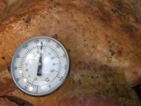 How To Check Temperature with Meat Thermometer (Poultry Chicken Turkey)