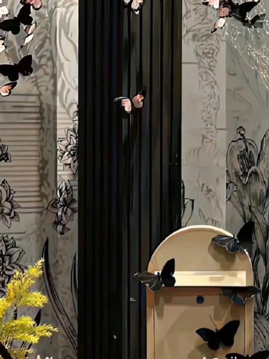 Beautiful Butterfly Cover by Jason | Music Lyrics Video