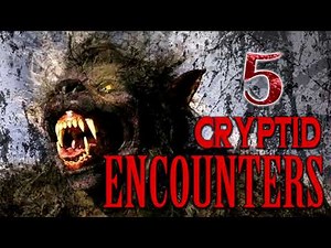5 TRUE SCARY CRYPTID ENCOUNTERS - What Lurks Beneath