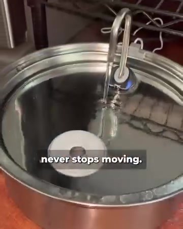 Did you know that over 80% of dogs struggle with severe dehydration? A veterinary study found that the reason for this is largely caused by stagnant water in regular water bowls. Dog's natural instincts naturally drive them to drink from clean water sources. The lead indicator of water sources being clean to them is when the water is flowing. This is why many dogs naturally do not drink enough because their stagnant water bowl does not seem like a clean water source to them - and it often isn't!