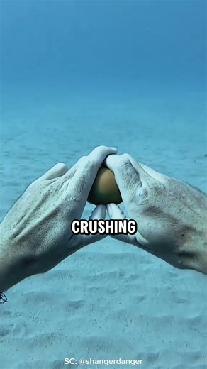 What Happens If You Crack an Egg 13 Meters Underwater?😱 #shorts