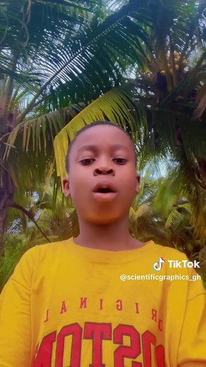 Exploring the Aesthetic of Non-Objective Scientific Graphics