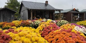 Fall fun for the whole family at Monclova Farm