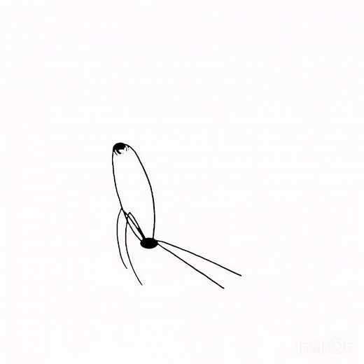 but this kid is not my son spider meme
