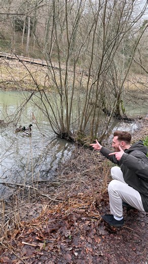 @rspb, meet James 🤝🏻 The RSPB Big Garden Birdwatch takes place between 23-25 January 🐦 Spend an hour watching the birds in your garden patch, record the birds that land and help the RSPB understand how our garden birds are doing right now. Find out how to get involved by visiting the RSPB website. Get counting! 🦆 #Wakehurst #RSPB #BigGardenBirdwatch #Kew #SussexWildlife | Wakehurst