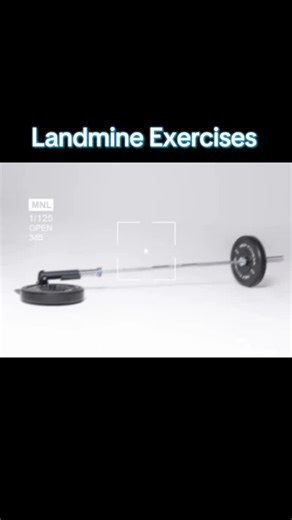 Core Chiropractic Care on Instagram: "Landmine exercises are workouts done using a barbell anchored at one end (in a landmine attachment or corner), letting the bar move on an angle instead of straight up and down. That angled path makes movements feel more natural and easier on your joints, while still building strength, balance, and core control. These are just some examples of exercises you can perform with a landmine setup. Add one or a few of these moves to your next workout! 🏋🏼‍♀️💪 Perf