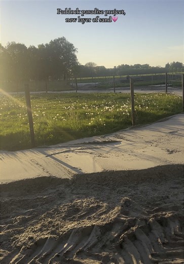 Transforming a Paddock Paradise Project: Before and After