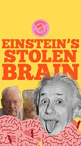 When Albert Einstein died, his brain was taken during the autopsy and kept for study. No clear permission, no big announcement — it just... happened. What followed is one of those stories that sounds fake until you realize it isn’t. Did you already know this, or is this new to you? #einstein #sciencenerd #truecrime #weirdhistory #truecrimeobsessed #AlbertEinstein #truestory #StrangeButTrue #historyfacts #sciencefacts | Sorry I Brought It Up with Mel Zee