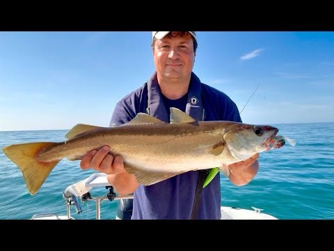 Lures & Jigs Did the Trick! Solo Wrecking for Pollack & Codling