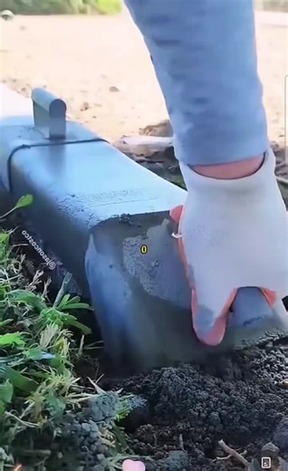 Engaging with Brook and Jubal in the Morning