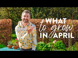 What to Plant in April | 5 Plants to Sow and Grow Now