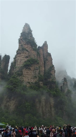 장가계 무릉원 풍경구의 핵심 명소 중 하나인 **십리화랑(十里畫廊)**은 '10리에 걸친 여덟 폭의 병풍 같은 화랑