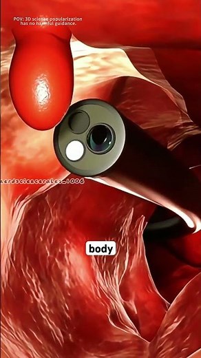 Gastroscopy procedure (3D animation) #theflash #gripeq #3danimation #3dmodeling #science #animation