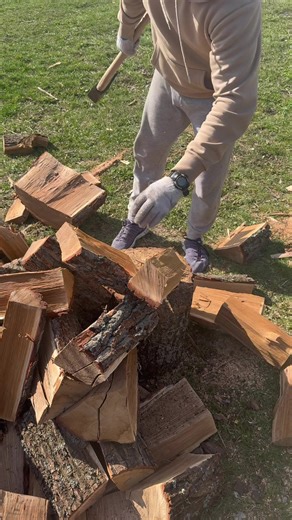 Splitting Oak Logs with an Axe: A Woodworking Guide