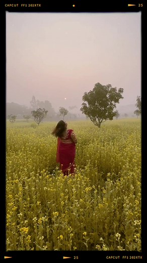 5.7K views · 107 reactions | হলুদ ফুল  . . . . . . #mobilephotography #reelsfb #videos #reelsvideo #flowers #mobigraphers #Barishal #Bangladesh | Mobigraphers | Facebook
