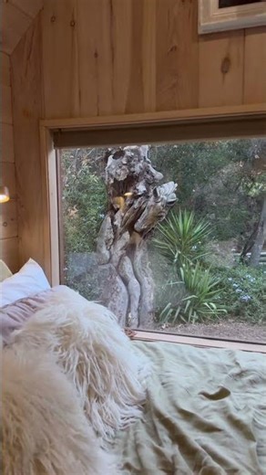 Air b n b in the hills with my lovely girlfriend for the weekend #airbnb #couples #ca