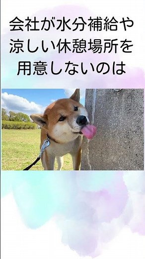 熱中症対策 ついに“会社の義務”になる