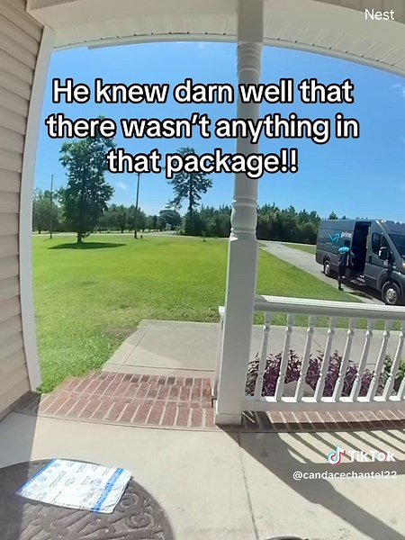 Amazon Delivery: Package Surprise on the Porch