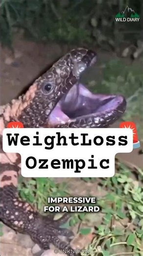 #ozempic #weightloss #obesity #celebrities #doctor #pharmacology #bariatricsurgery #fatloss
