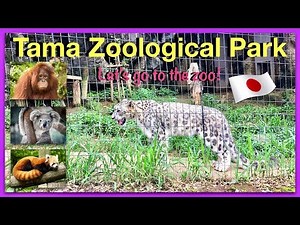 Exploring Tama Zoological Park l Butterfly Garden l Tokyo, Japan
