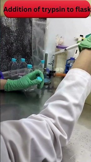 Passaging Animal Cells: A Crucial Step in Cell Culture