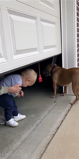 Dog Stops Garage Door from Hitting Toddler! 🐶🚪😱 #babycam