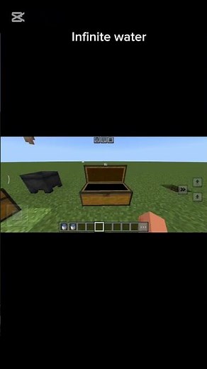 Infinite water glitch!