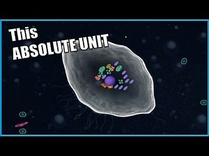 THE THICCEST FASTEST CELL: We Make The Ultimate Cell in Thrive, a Free Evolution Game