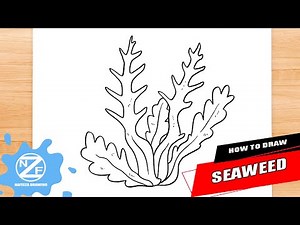 How to draw Seaweed