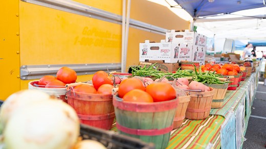 Bounty hunters: Here are 7 spots where you can get your hands on Pueblo-grown produce