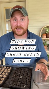 Tips for Growing Great Beets Part 1 Beets can be notoriously difficult to get consistent germination. I prefer to seeds two seeds per plug, or soil block, and thin down to the two healthiest plants. After a few weeks, I will transplant three rows per bed with 6-inch spacing in-row. This helps maximize my space, ensure uniform large-sized beets, and makes cultivation much easier. #beets #seeds #seedstarting #marketgarden #homegarden #homesteading #homestead #gardening #notill #urbanfarming #veget