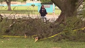 No emergency shelters open after Waianae homeless sweep, stormy conditions | Haystack News