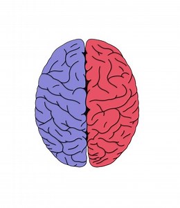 2-Minute Neuroscience: ADHD