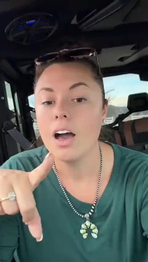 ​The Ugly Duckling Phase: Why Patience is Key with Young Horses. #katievanslykefan #farmlife #minifarm #katievanslyke #horse